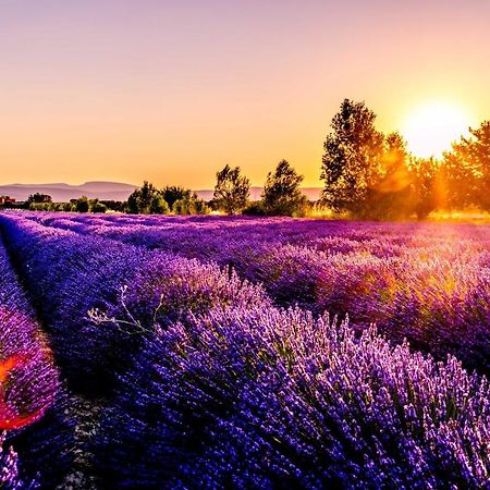 Chez Marius Gordes Vue Panoramique Sur Luberonアパートメント エクステリア 写真